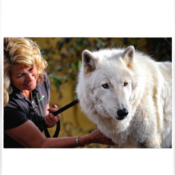 Meet your Posher, Lorena - Picture 7 of 17